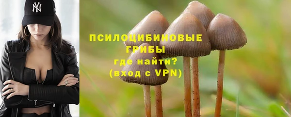 дмт Надым