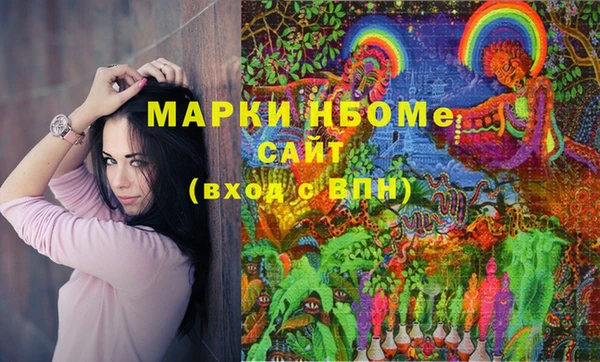 дмт Надым