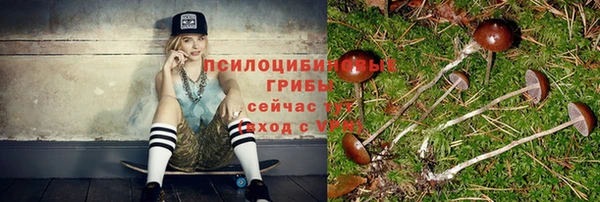 прущие крисы Михайлов