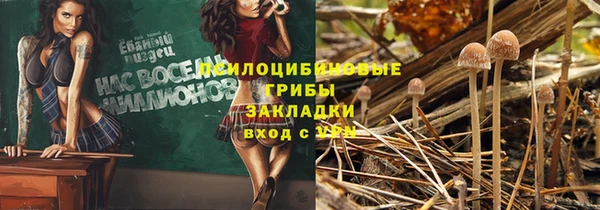 дмт Надым
