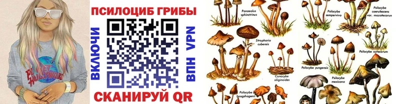 Галлюциногенные грибы прущие грибы  Купить  Шелехов 